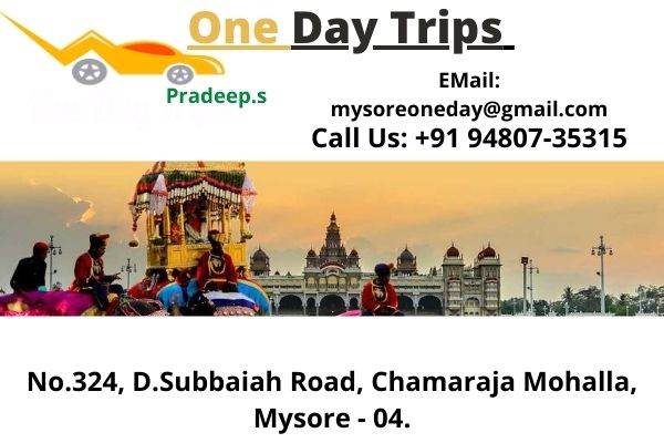 One Day Trips Contact
